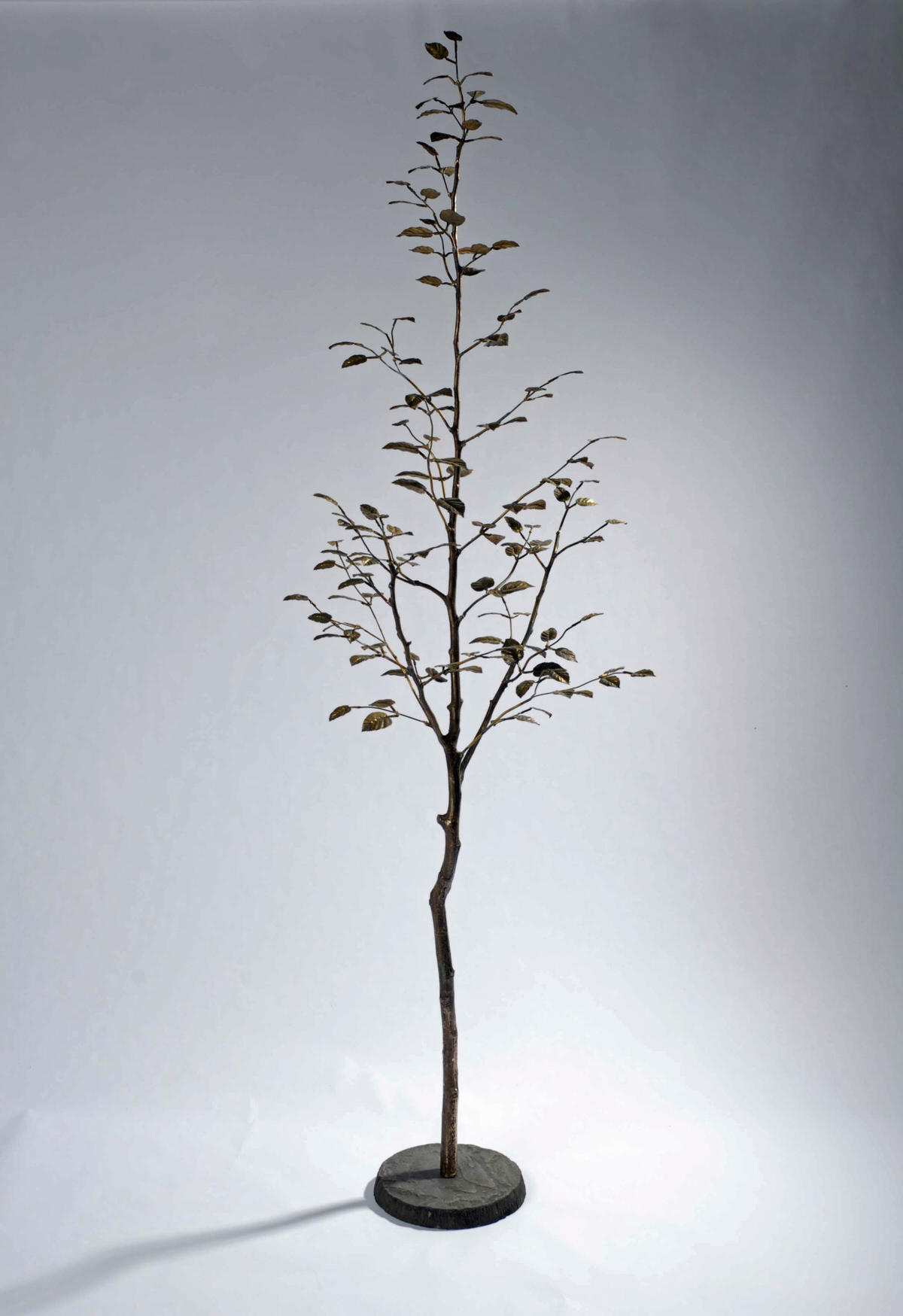 Alder Tree sculpture bronze sculpture indoor trees sculpture for urban gardens sculpture for roofgardens corporate sculpture contemporary design Mark Reed