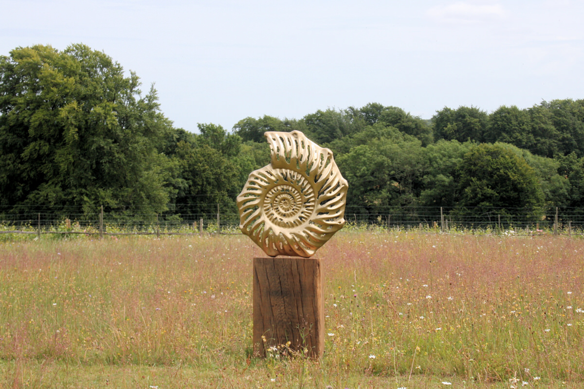 Ammonite outside bronze sculpture wildflower meadow inspired by geology ammonite fossil landscape garden sculpture by Mark Reed