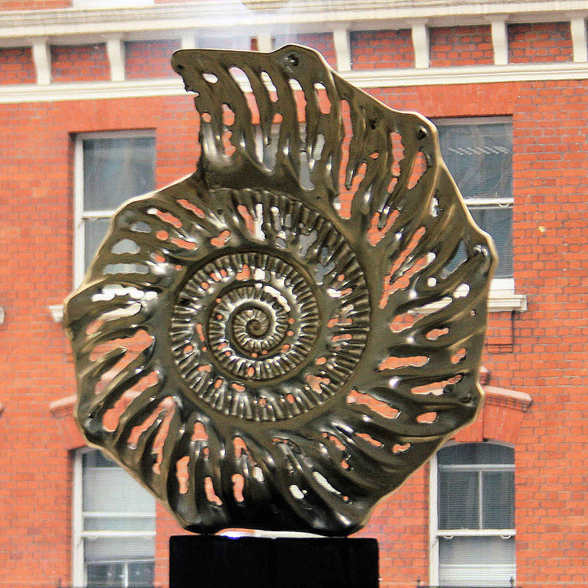 Ammonite slice outside bronze sculpture contemporary british sculpture ammonite fossil in corporate office by Mark Reed
