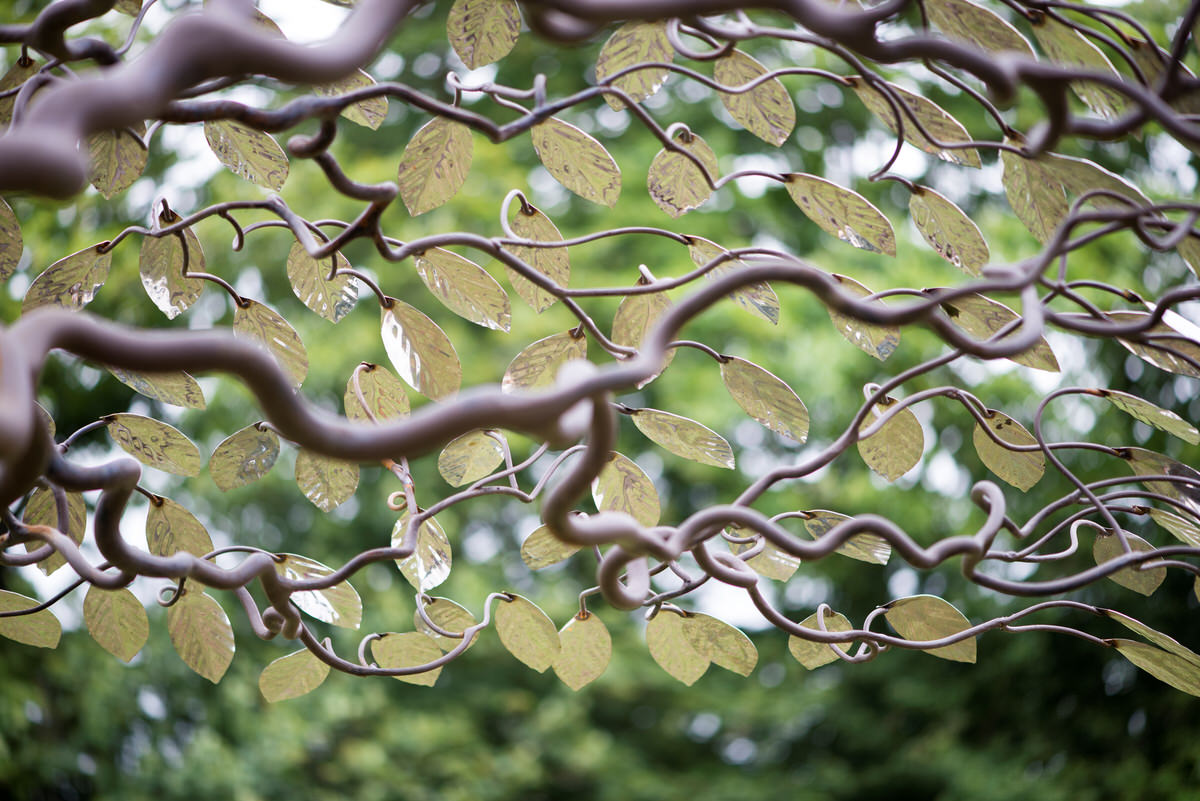 Arbour Metallum Metal Tree Garden Sculpture & Corporate bespoke sculpture underneath detail sun shade for pools by Mark Reed