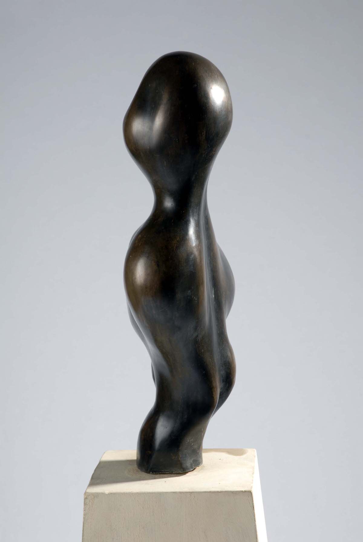 Golgi Body female sculpture human from sculpture abstract british contemporary sculpture gagosian gallery by Mark Reed