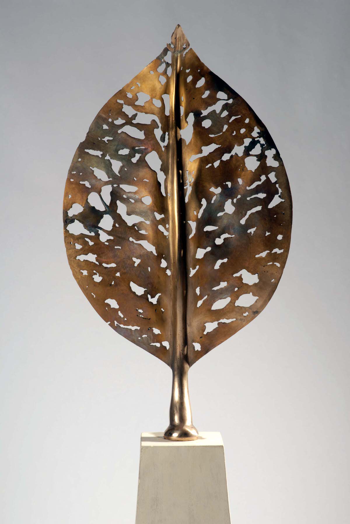 Life Leaf Medium bronze sculpture garden sculpture design offices offices design UAE Sculpture Gallery by Mark Reed