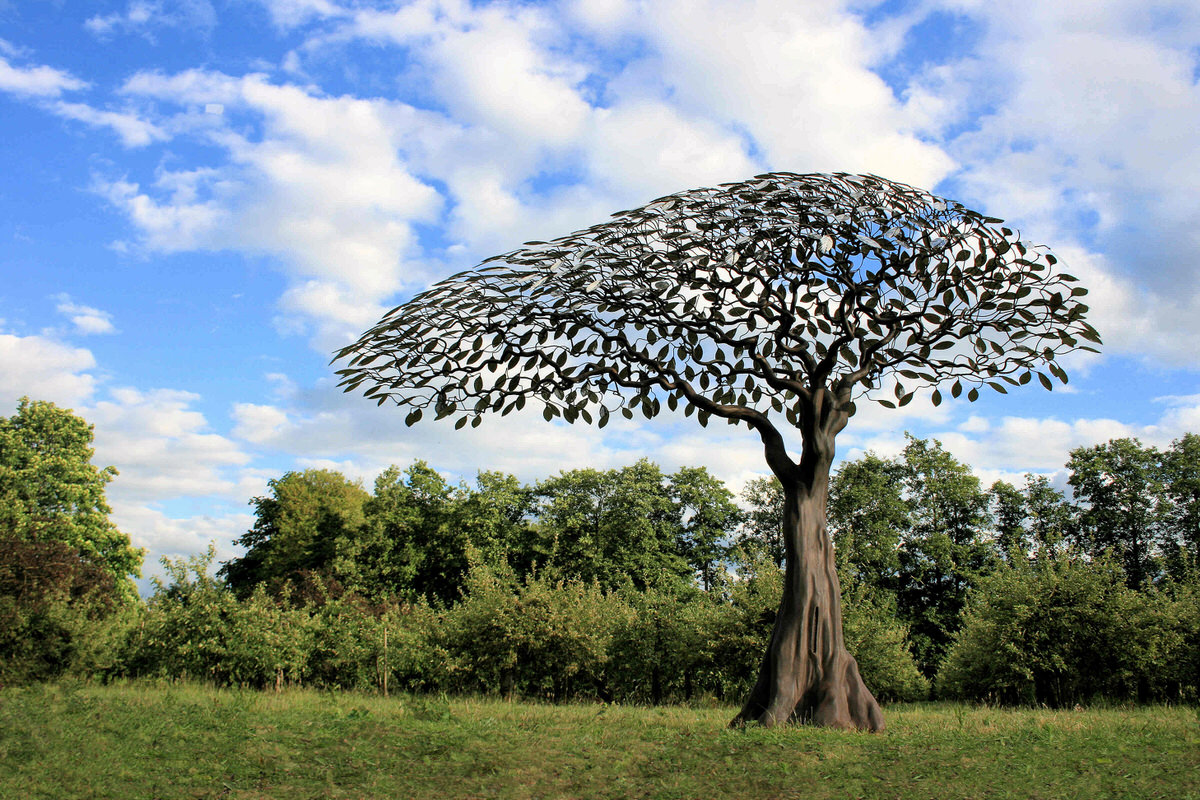 Windswept steel and stainless steel tree- Arbour Metallum public sculpture, sculpture for specifiers trees art corporate sculpture by Mark Reed Cass Sculpture Foundation