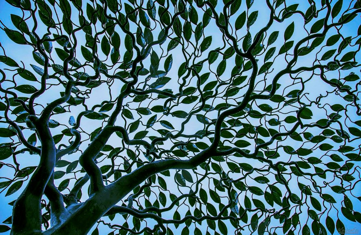 arbour metallum public tree sculpture shade for pools and gardens dubai USA Carribean underneath detail by Mark Reed