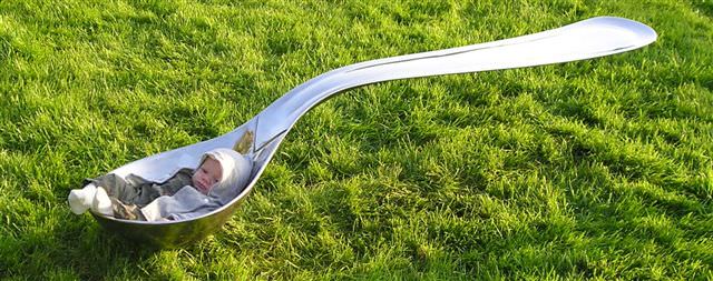 spoon bench stainless steel sculpture garden sculpture quirky sculpture spoon with baby by Mark Reed