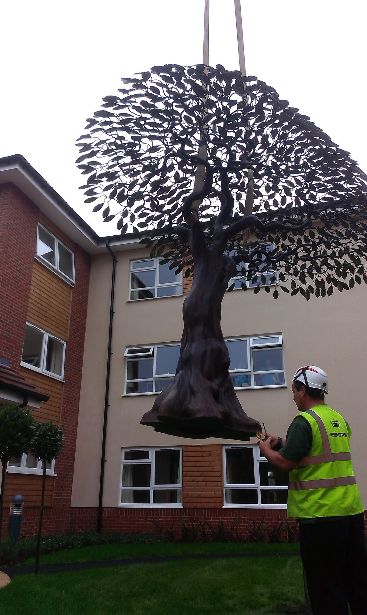 Arbour Metallum Tree sculpture being craned into hospital gardens public comission by Mark Reed